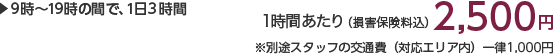 9時〜19時の間で、1日2時間 1時間あたり(損害保険料込)2,500円 ※別途スタッフの交通費(対応エリア内)一律1,000円×人数分がかかります。