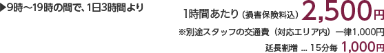 9時〜19時の間で、1日3時間より 1時間あたり(損害保険料込)3,500円 ※別途スタッフの交通費(対応エリア内)一律1,000円 延長割増…15分毎1,000円