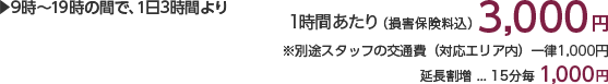 9時〜19時の間で、1日3時間より 1時間あたり(損害保険料込)3,000円 ※別途スタッフの交通費(対応エリア内)一律1,000円 延長割増…15分毎1,000円