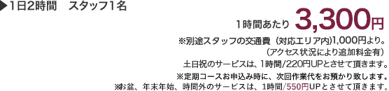 1日2時間　スタッフ1名