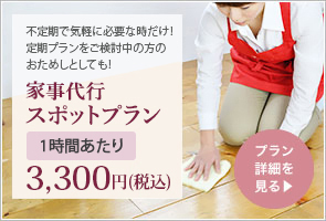 お見積り、カウンセリングを含めた定期プランご検討の方専用の２時間限定プランとなります。家事代行スポットプラン 2時間 3,300円(税込)